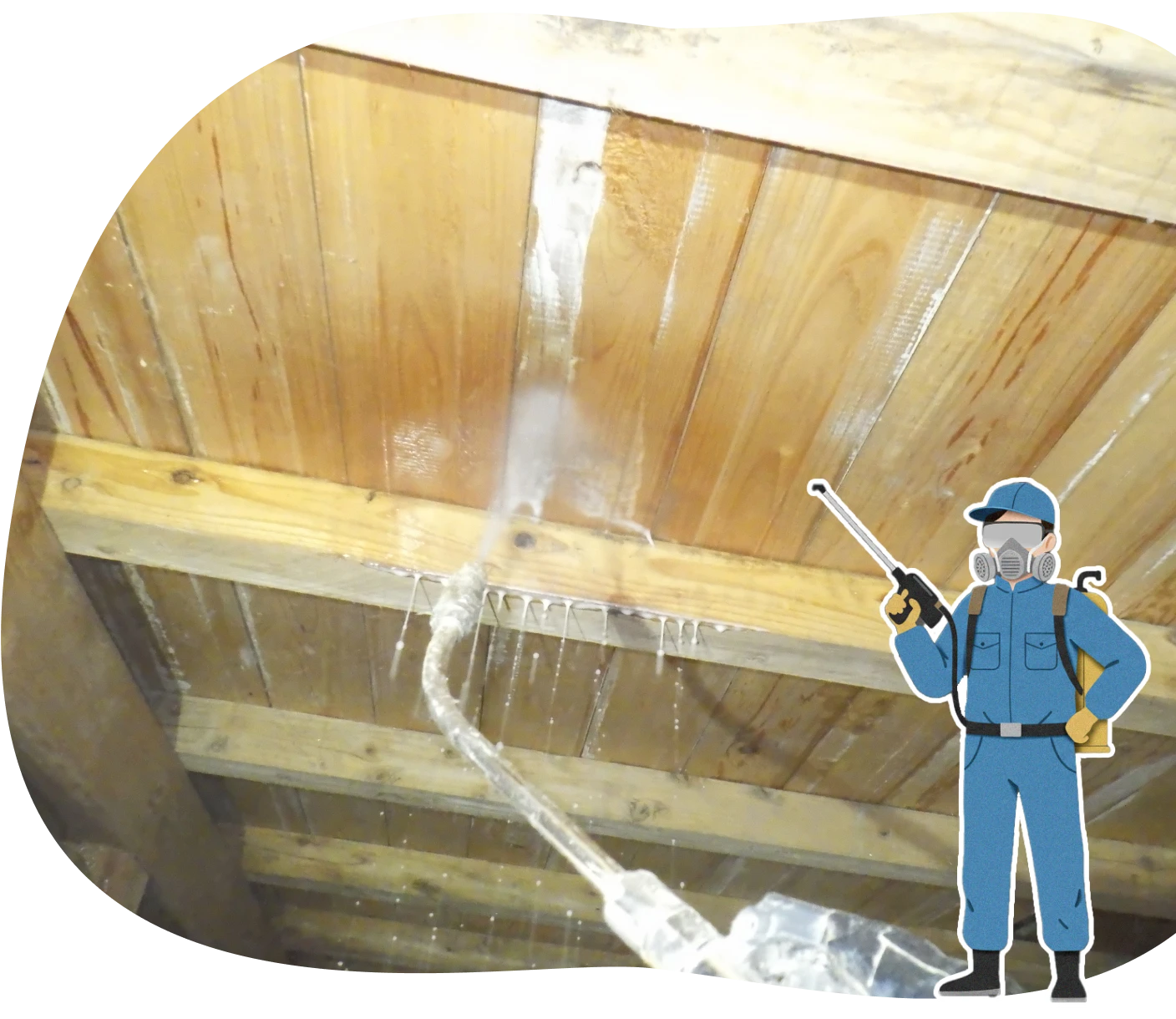 シロアリ防除施工士が在籍